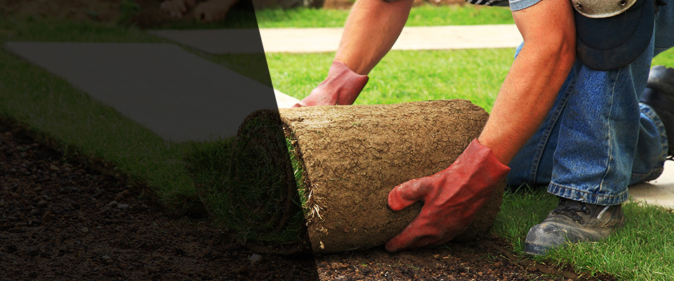 Jamestown Landscapers